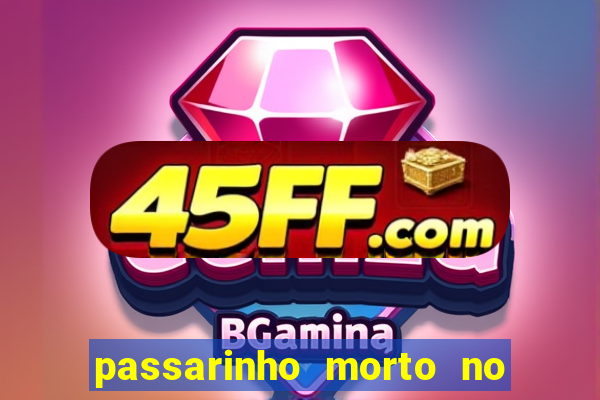 passarinho morto no quintal significado espiritual